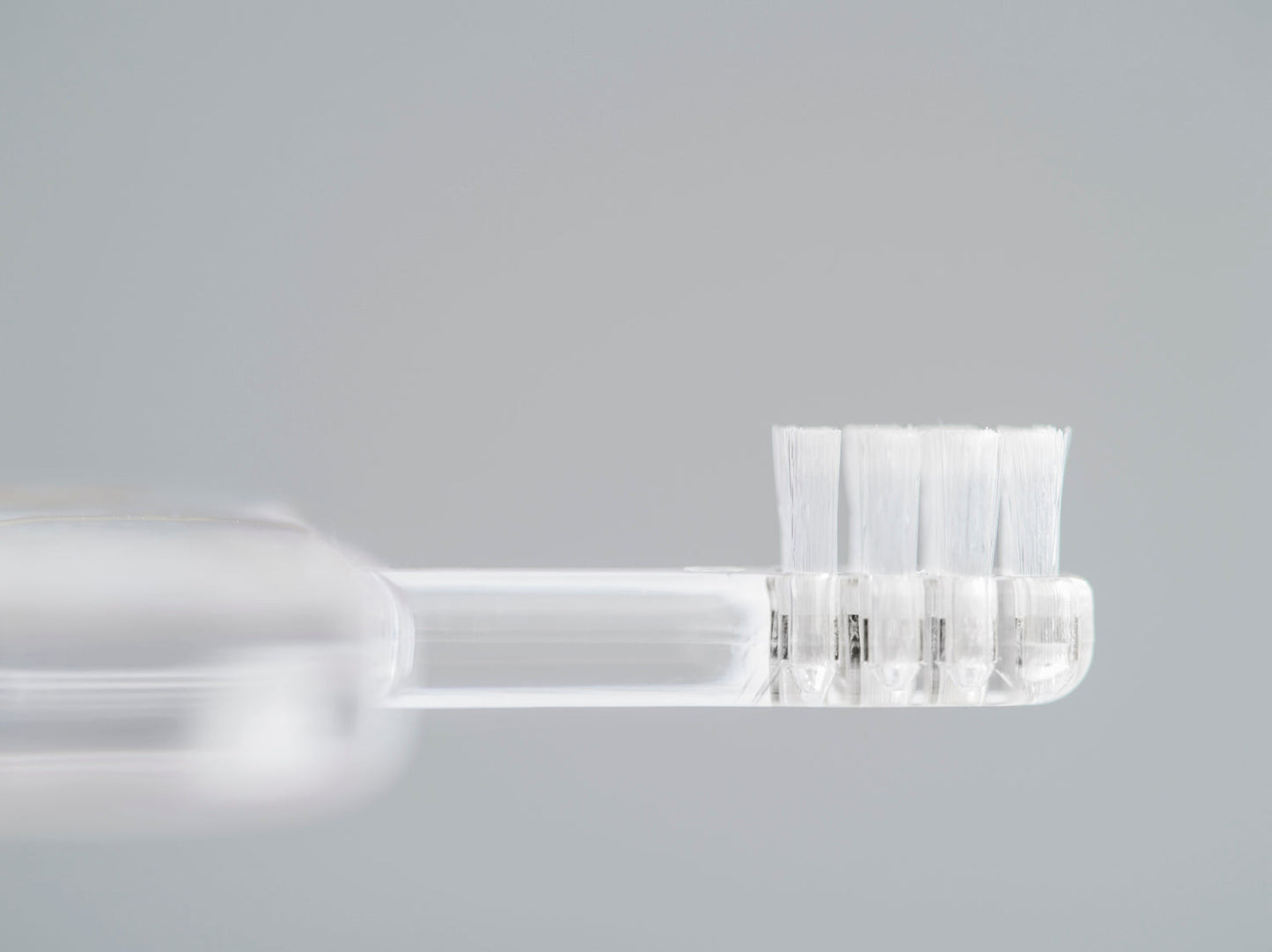 Wildflowers Toothbrush