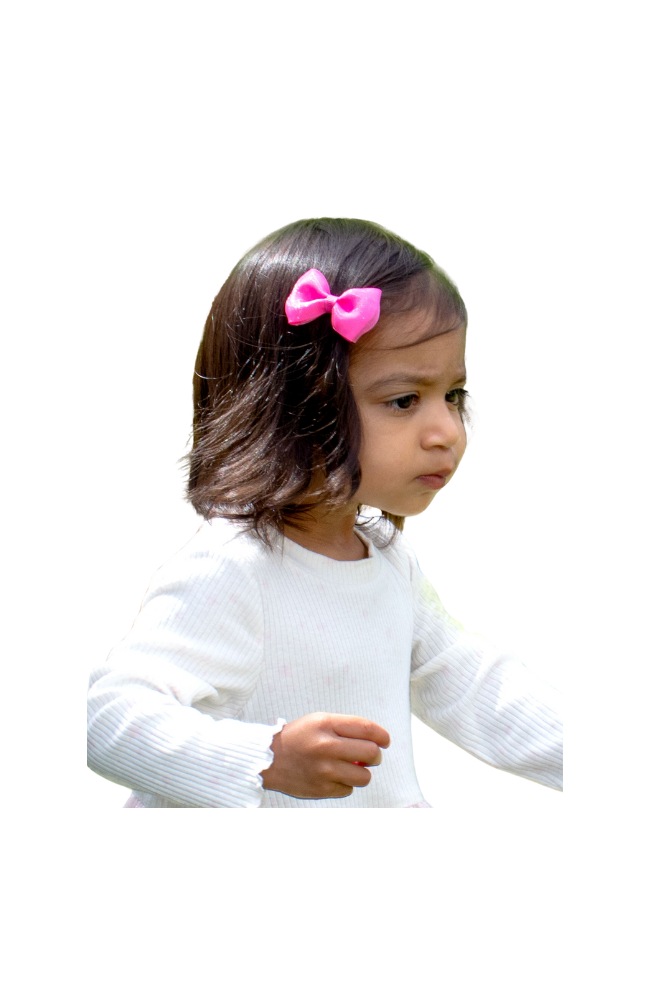 Organza Overlay Tiny BowTie