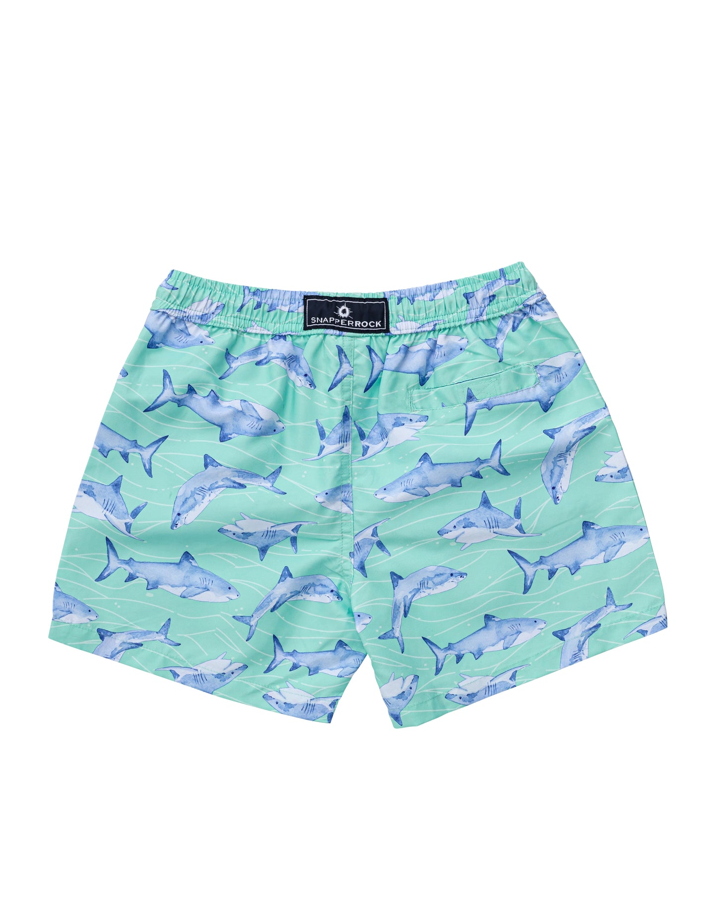 Minty Shark Shorts & Shark Stripe Rash Guard