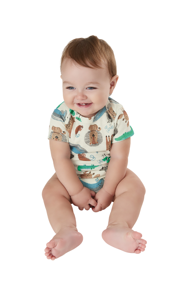 10 Piece Safari Essentials Collection