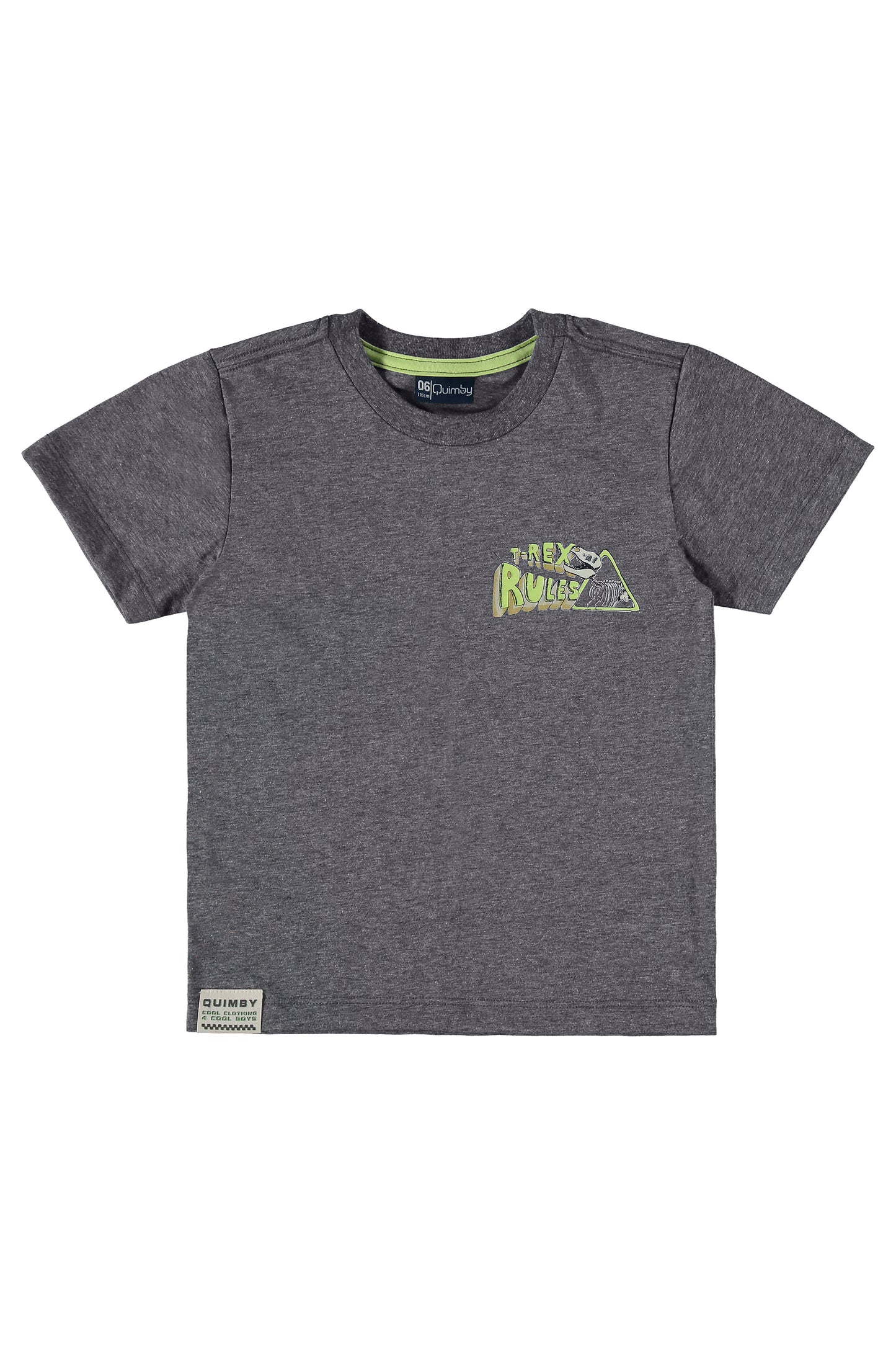 Grey T-Rex Rules Tee & Short