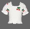 Crop top & Denim Shorts w/ Cherries embroidered