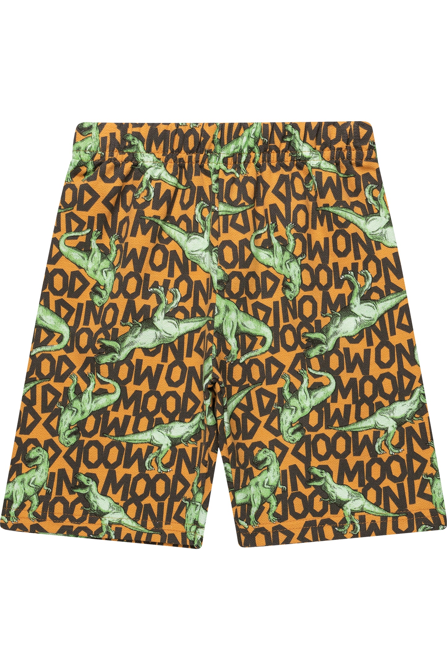 Say Roar Top & Dino Shorts