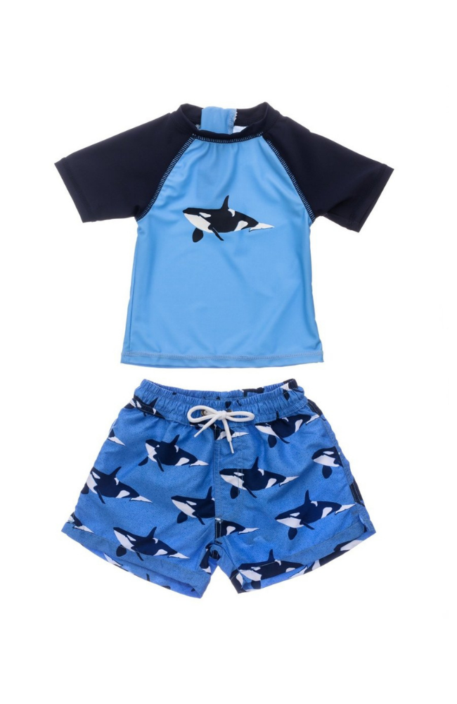 Orca Ocean Baby