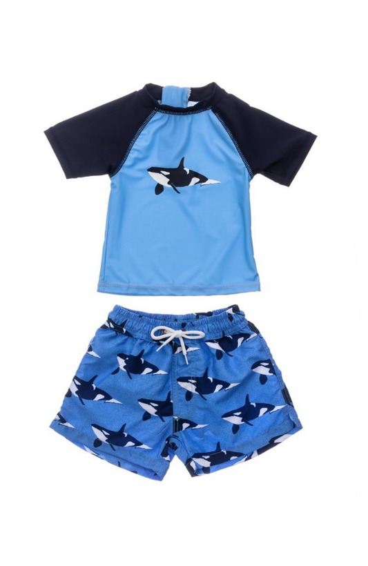 Orca Ocean Baby