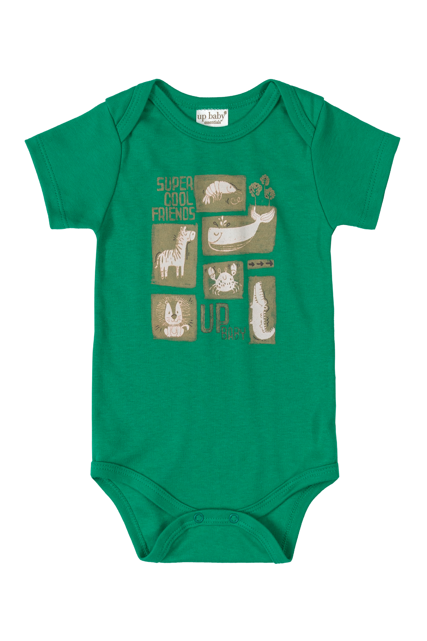 10 Piece Safari Essentials Collection