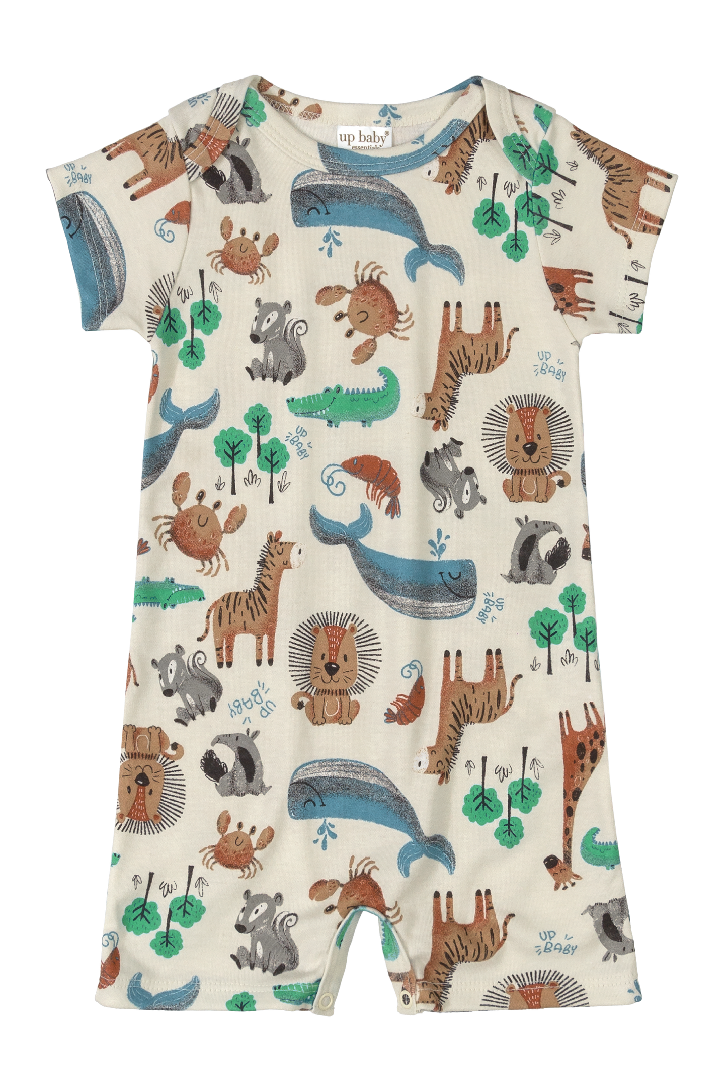 10 Piece Safari Essentials Collection