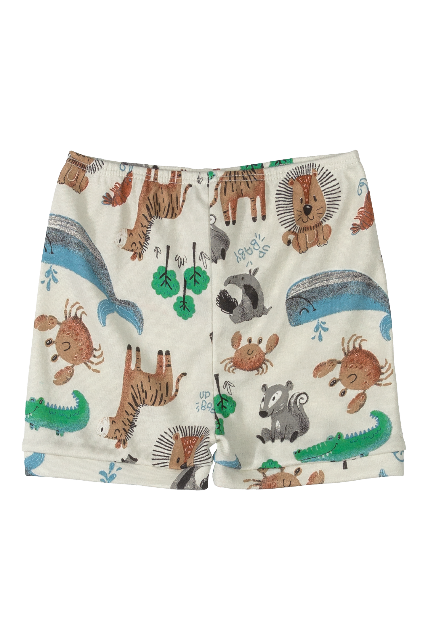 10 Piece Safari Essentials Collection