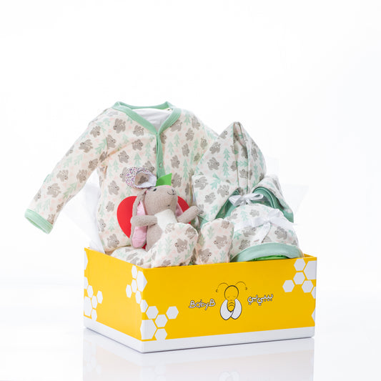 Snow Bunny Gift Basket