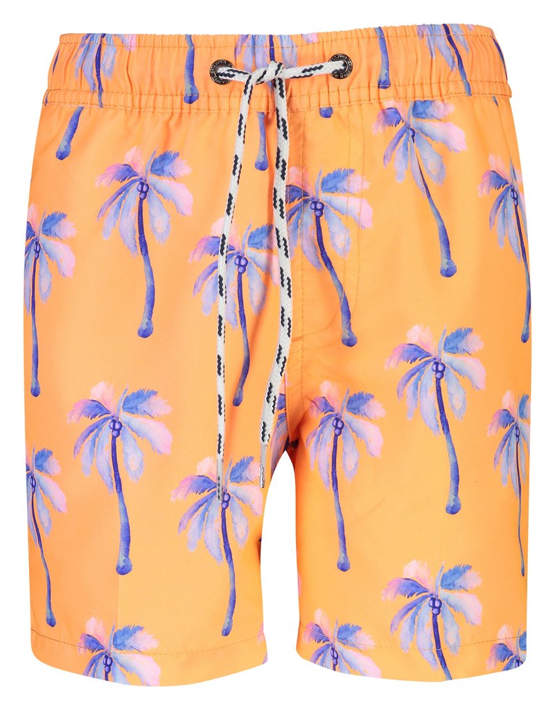 Sunset Moorings Palm Rashguard & Boardie Shorts